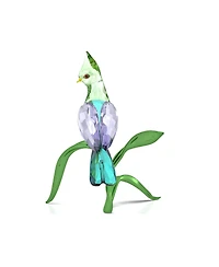 Swarovski Idyllia Turaco Figurine