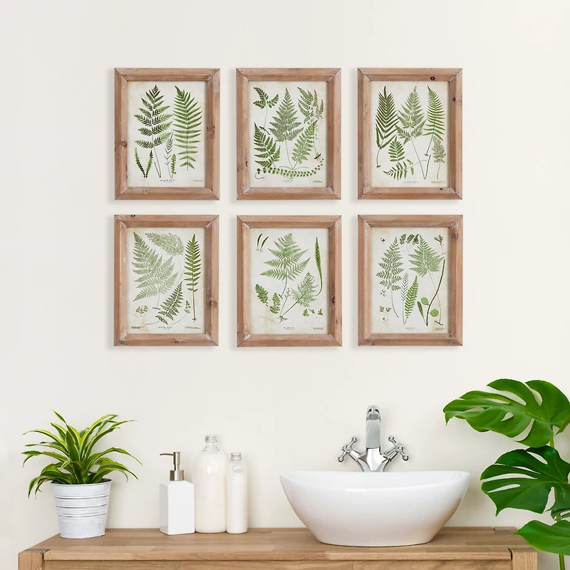 Assorted Frond Study Petite Set of 6