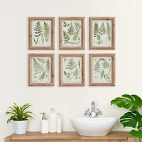 Assorted Frond Study Petite Set of 6