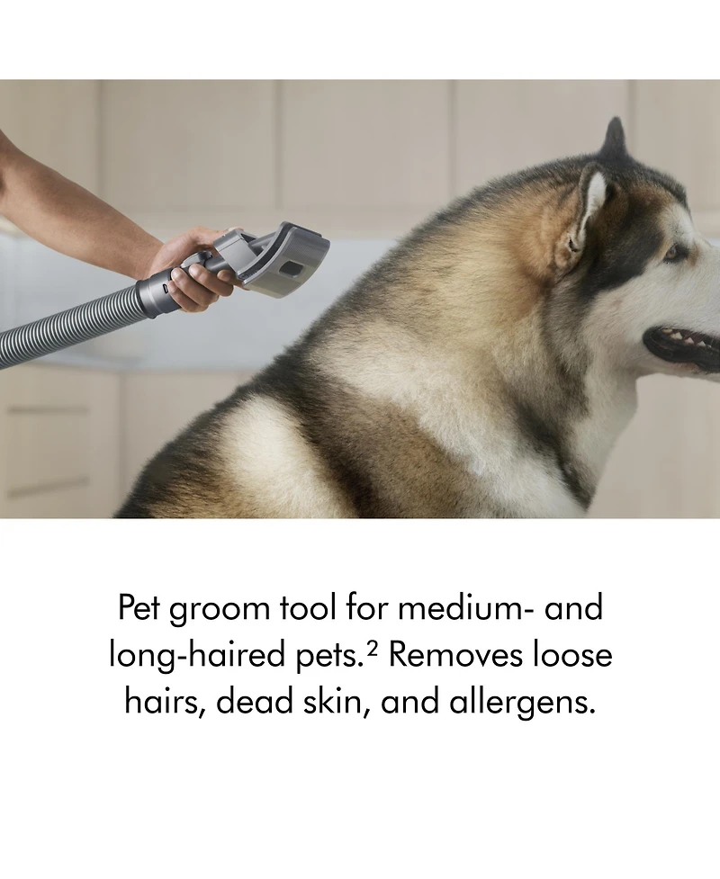 Dyson Ball Animal 3 Extra Upright Vacuum