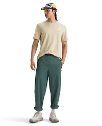 The North Face Men's Short Sleeve Public Lands Cactus T-Shirt