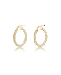 The Lovery Mini Mesh Gold Hoop Earrings 14K Yellow Gold