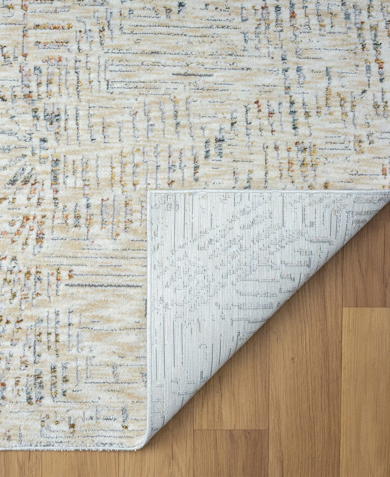 Lr Home Alexis All-465 2'x3' Area Rug
