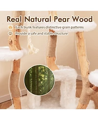 Modern Wooden Cat Tree with Perch Stylish & Cozy Cat Tower for Indoor Cats