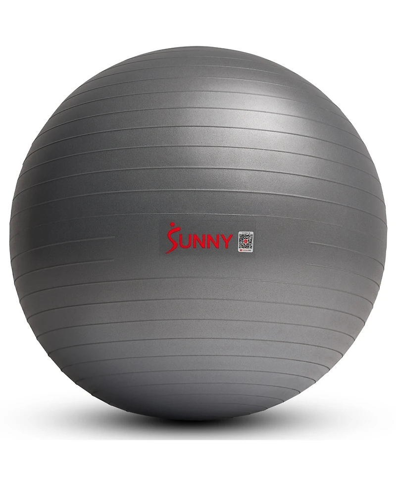 Sunny Health & Fitness Premium Yoga Ball Medium 65CM Anti-Burst Exercise Ball with Pump for Workouts, Physical Therapy