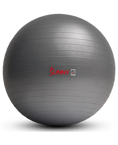 Sunny Health & Fitness Premium Yoga Ball Medium 65CM Anti-Burst Exercise Ball with Pump for Workouts, Physical Therapy