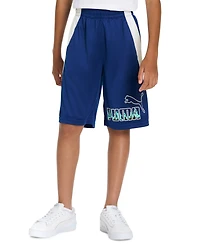 Puma Big Boys Logo Graphic Shorts