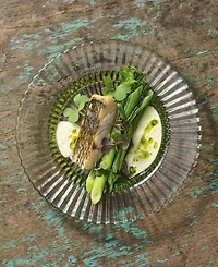 Fortessa Archie Dinner Plates, Set of 4