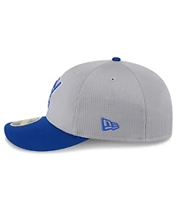 New Era Men's Gray/Royal Milwaukee Brewers 2025 Batting Practice Low Profile 59FIFTY Fitted Hat