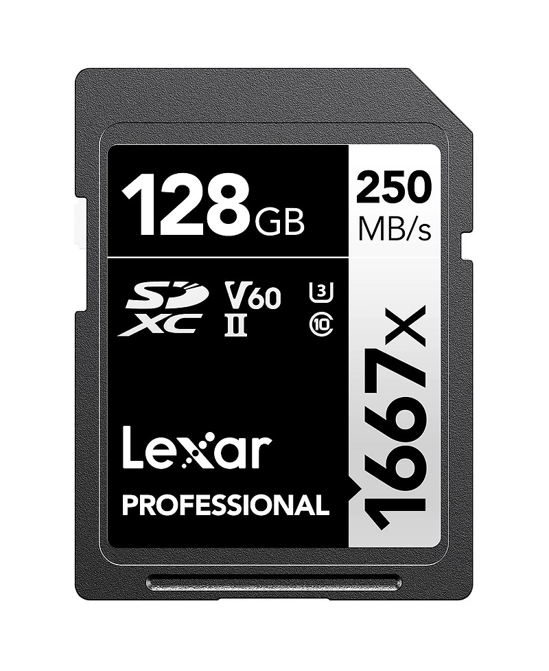 Panasonic Lumix S5II Mirrorless Camera Bundle with 128GB Sd Card, Shoulder Bag, Extra Battery, Charger, Screen Protector, Camera Strap, Cleaning Kit