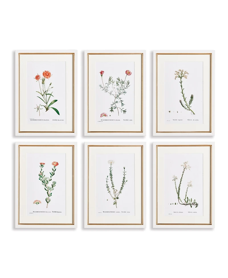 15.75"W x 0.75"D x 21.5"H Flower Studies In Shades Of Blush Framed Wall Art Set of 6