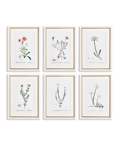 15.75"W x 0.75"D x 21.5"H Flower Studies In Shades Of Blush Framed Wall Art Set of 6