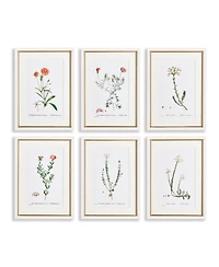 15.75"W x 0.75"D x 21.5"H Flower Studies In Shades Of Blush Framed Wall Art Set of 6