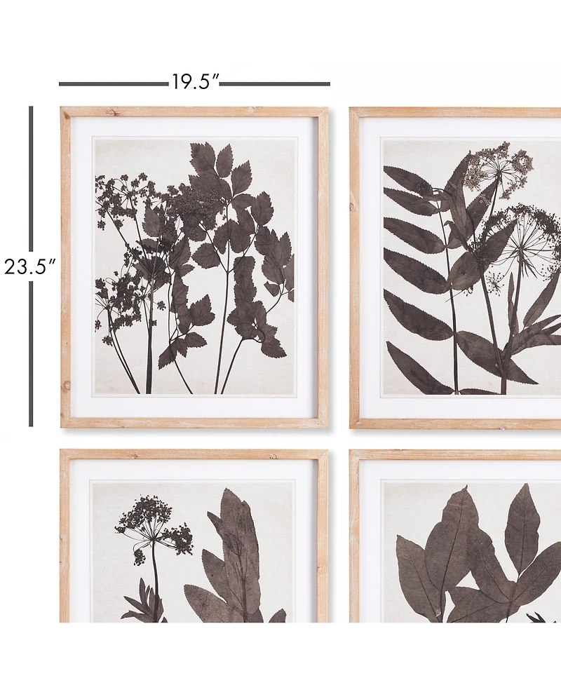 Pressed Foliage Plant Art Prints with Light Wood Frame Set of 4