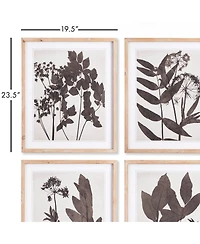 Pressed Foliage Plant Art Prints with Light Wood Frame Set of 4