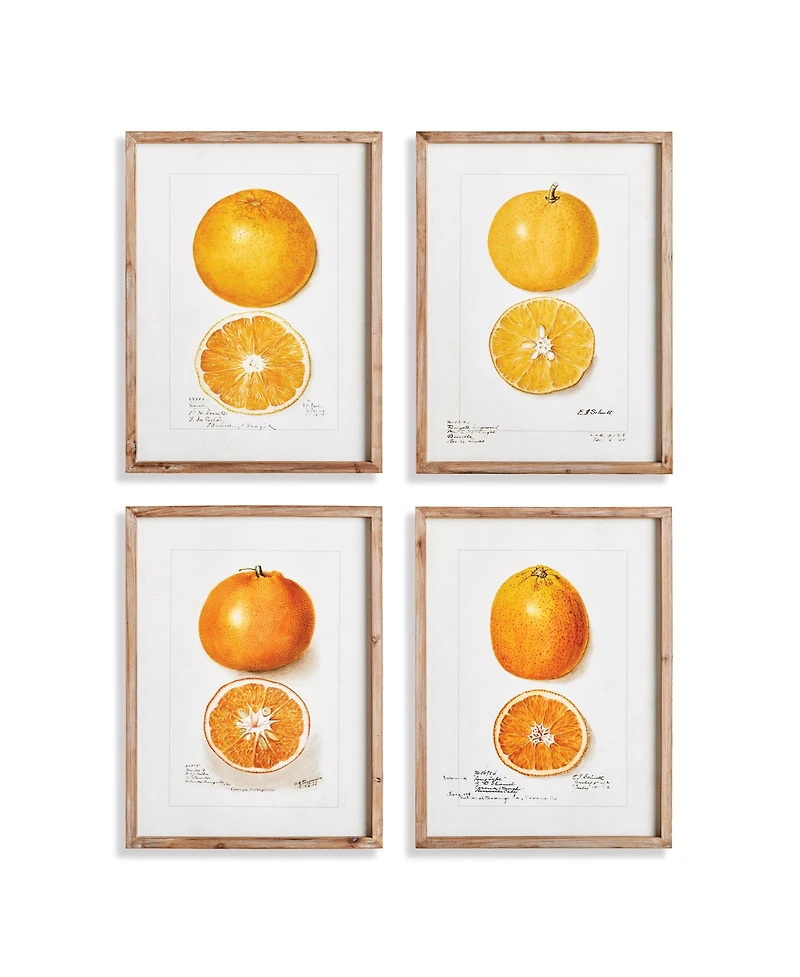 17.75"W x 1"D x 23.5"H Citrus Study Framed Wall Art Set of 4