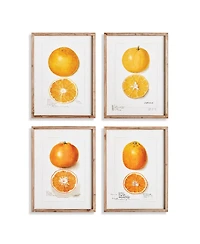 17.75"W x 1"D x 23.5"H Citrus Study Framed Wall Art Set of 4