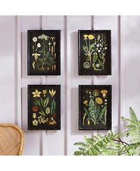 Golden Botanical Study Set of 4