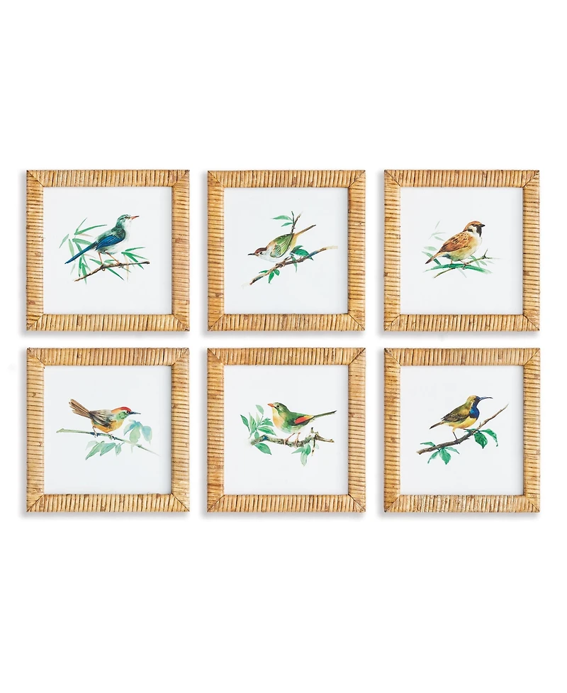 Songbird Petite Prints St/6