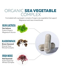 Plant Magnesium: Organic, Whole Food Magnesium Supplement