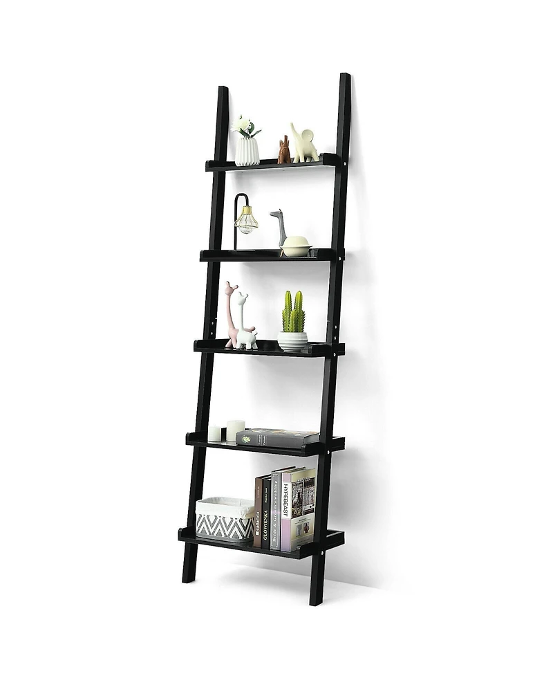 5-Tier Wall-leaning Ladder Shelf Display Rack for Plants and Books