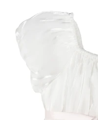 Rare Editions Baby Girls Shimmer Organza Dress