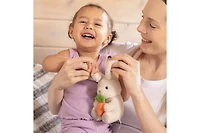 Sperric Easter Baby Plush Playset with Easter Basket, Bunny Holding Carrot, Easter Egg, and Squeaky Chicken, Sensory and Decorative Toys for Babies &