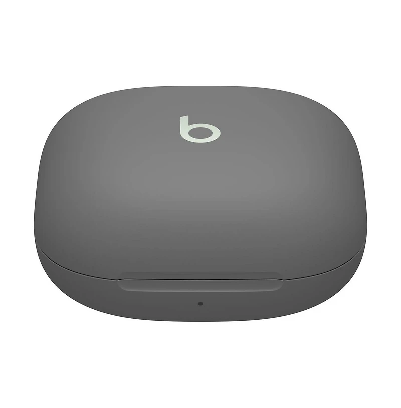 Fit Pro True Wireless Earbuds