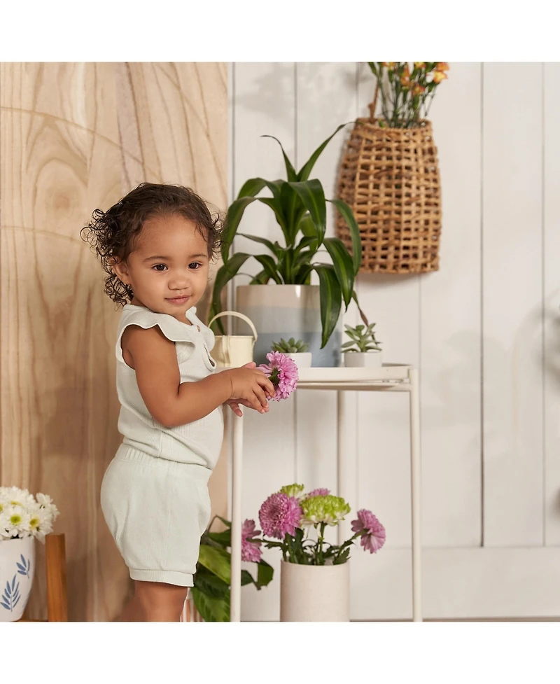 Gerber Childrenswear Baby Girls Flutter Sleeve Bodysuit and Shorts Set