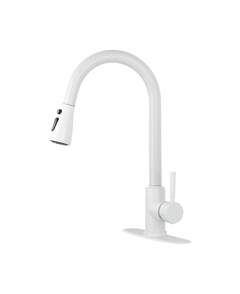 Kitchen Faucet with Pull Out Spraye