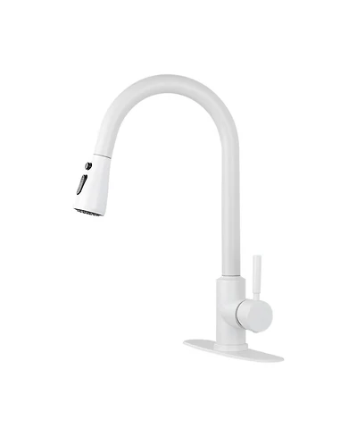 Kitchen Faucet with Pull Out Spraye