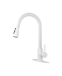Kitchen Faucet with Pull Out Spraye