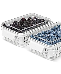 Oxo Good Grips Berry Keeper Produce Saver, 2-Piece Set