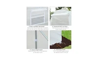 Walk-In Tunnel Greenhouse for Gardening and Plant Protection with Spacious Design