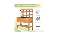 Wooden Garden Box with Separate Planter and Storage Compartments