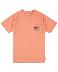 Levi's Big Boys Canyon Landscape T-Shirt