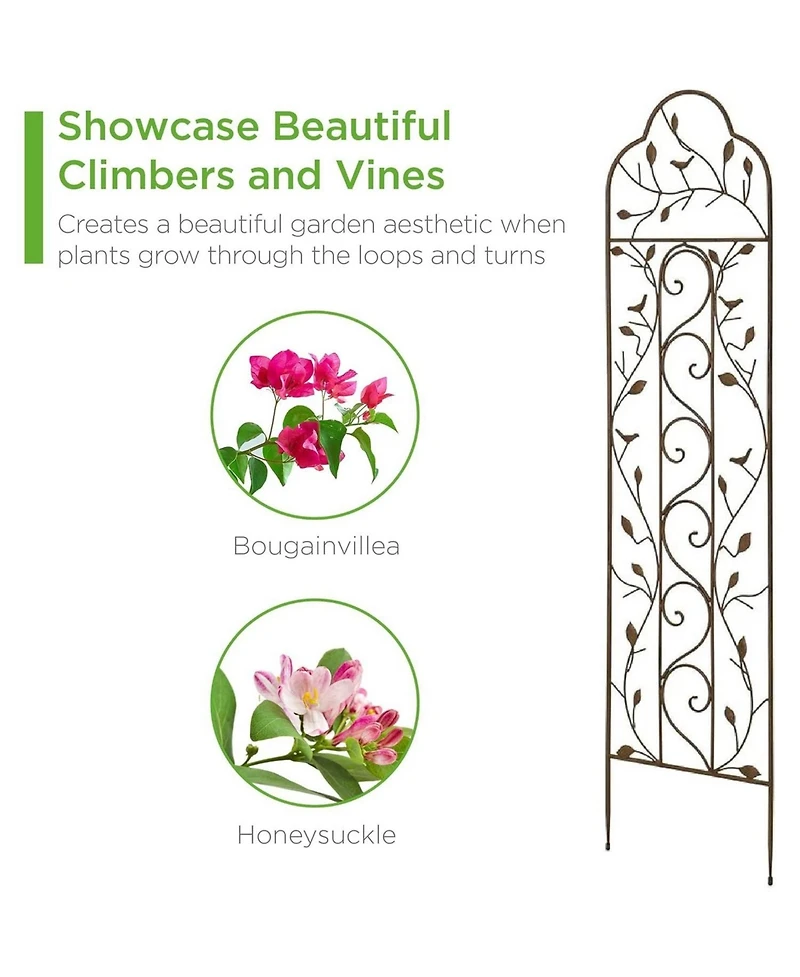 Outdoor Iron Garden Trellis for Climbing Plants and Garden Support