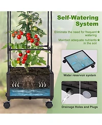 Garden Bed with Trellis for Vertical Planting and Stylish Outdoor Garden Design