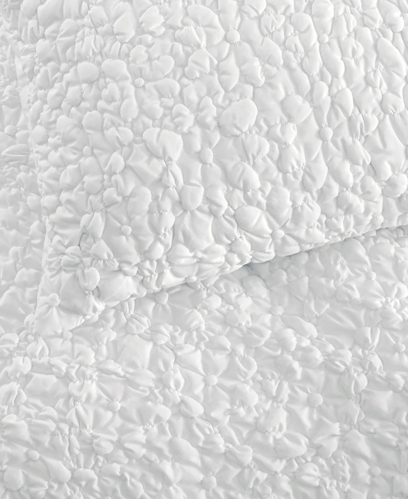 Chf Floral Bubble 2-Pc. Sham Set, European