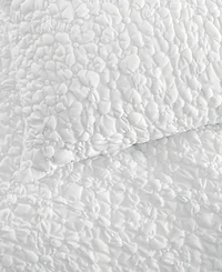 Chf Floral Bubble 2-Pc. Sham Set, European