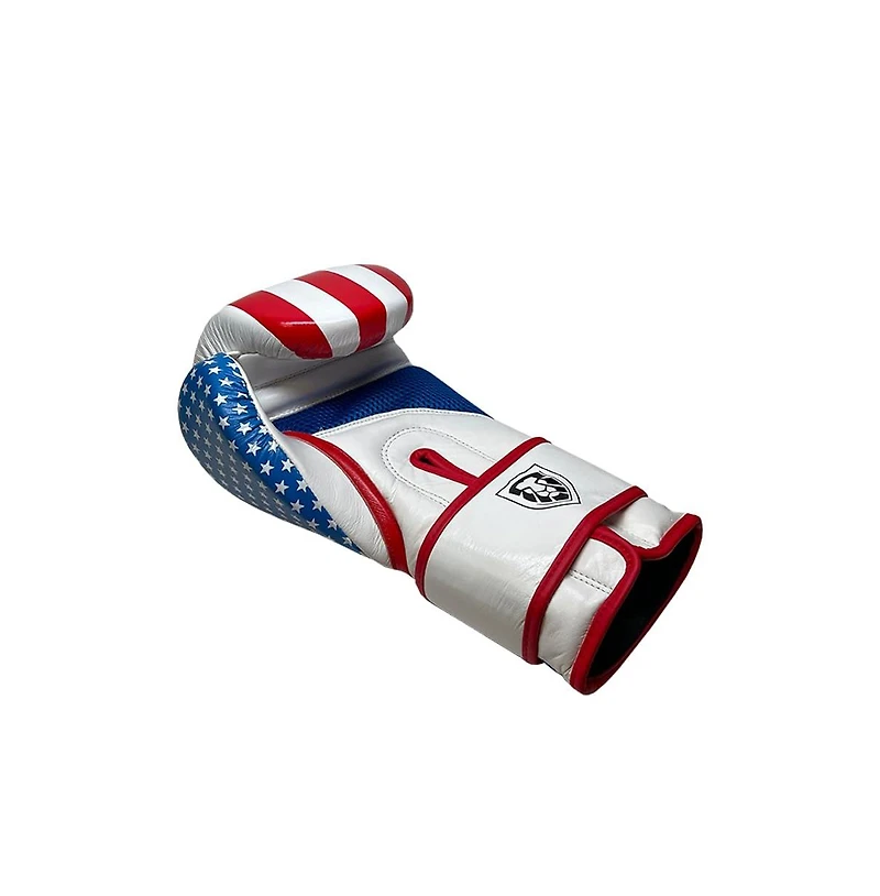 Invincible Fight Gear Hook and Loop Leather Training Boxing Gloves with Usa Flag Colors