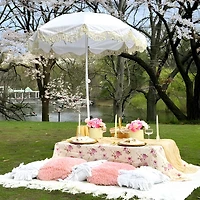 LAGarden 6Ft Fringe Patio Umbrella with Push Button Tilt Carry Bag UV30+ Outdoor Beach Yard Pool Party Deck Purple Stripe