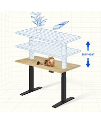 Flexispot E7-commercial 48 W Electric Adjustable Standing Desk, Rubber Wood Top, Black Base