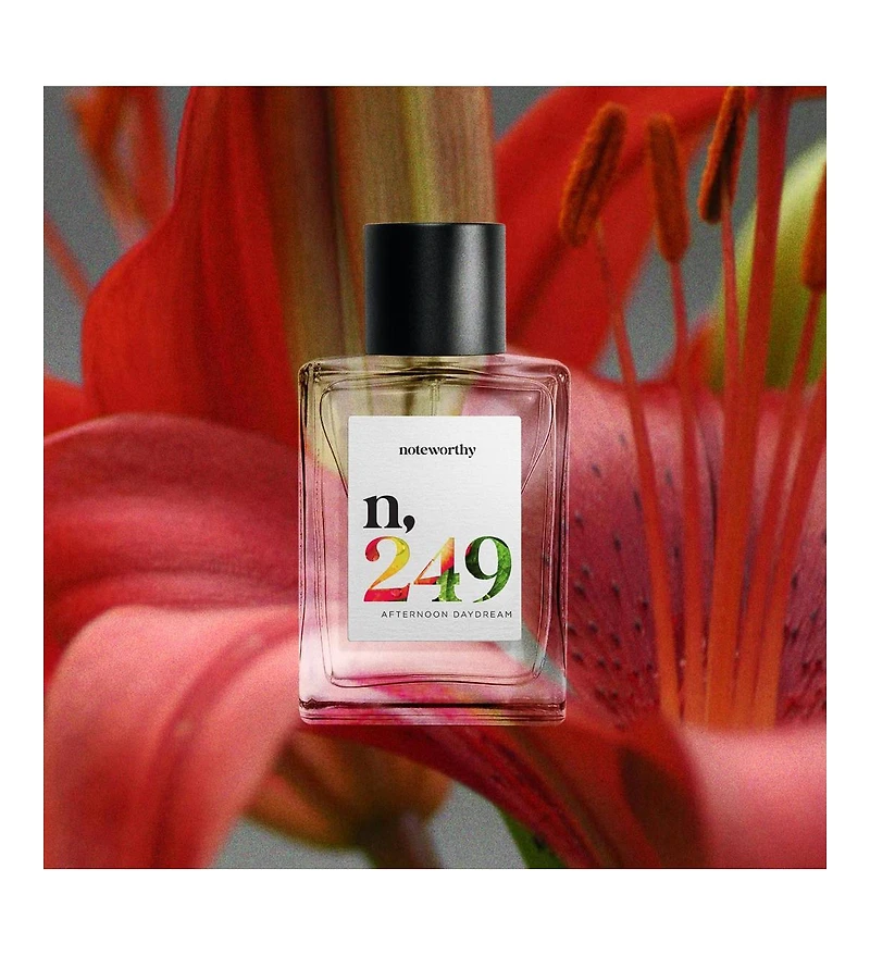 Noteworthy n,249 Eau De Parfum | Afternoon Daydream | Bergamot Floral Woody Fragrance