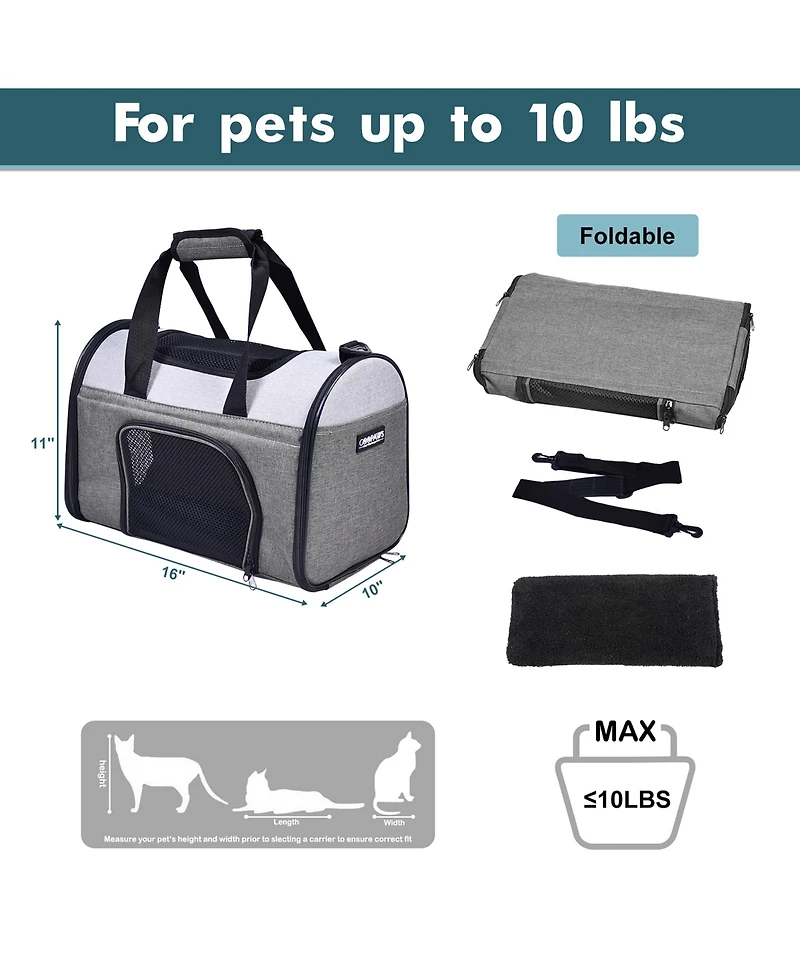 Sport Airline Pet Carrier: 16"