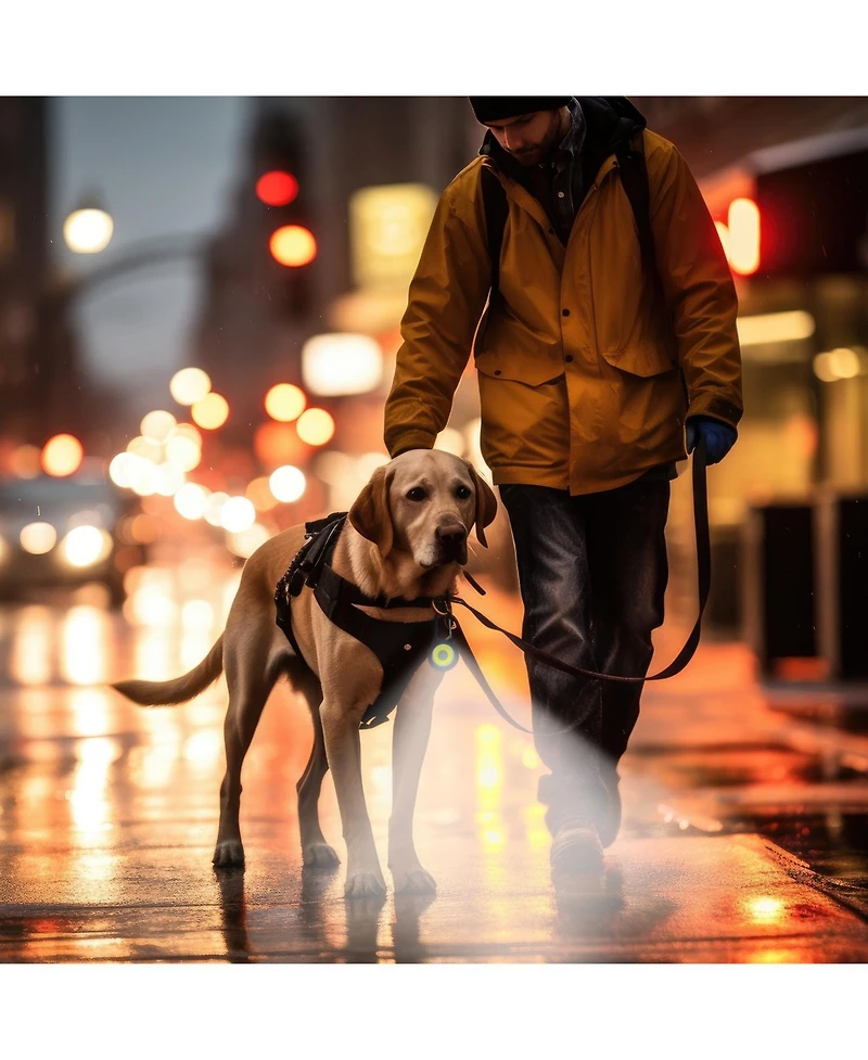 P.t. Supply Co. Clip-Brite Led Safety Light for Pets, High Visibility Clip-On Light for Dogs & Cats