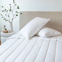 2 Pack Medium Down & Feather Chamber Bed Pillow