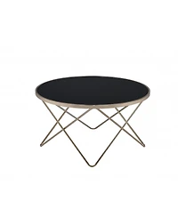 Stylish Champagne Coffee Table with Frosted Glass Top and Metal Base