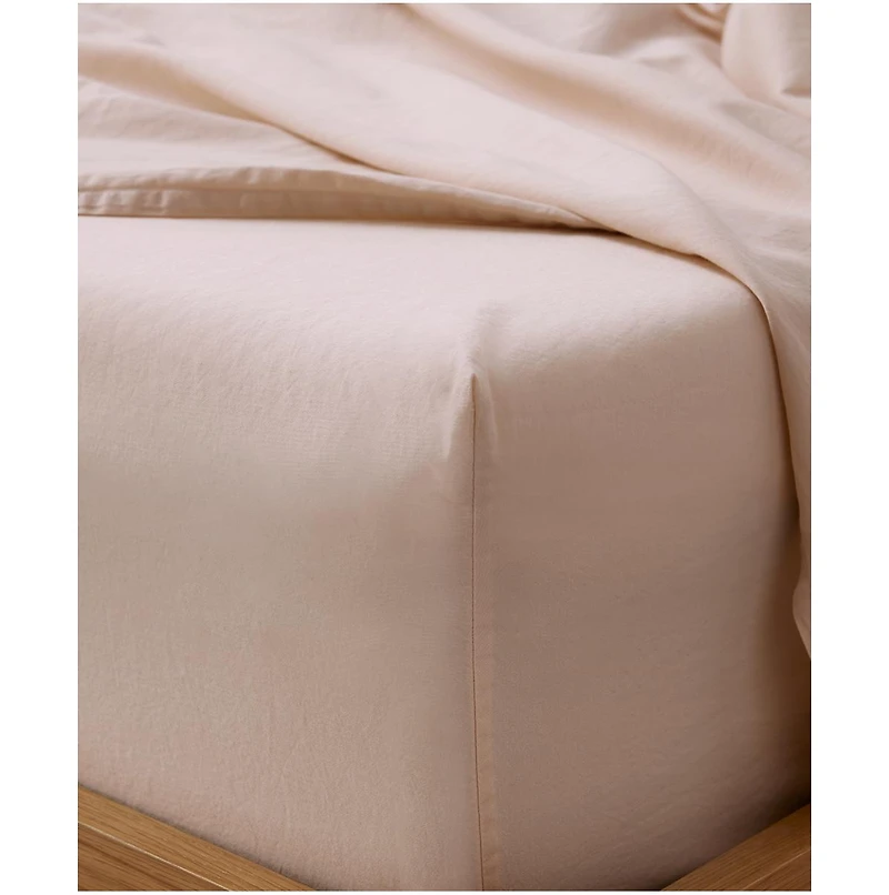 Cotton Room Service Sateen Fitted Sheet - Twin