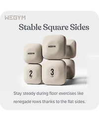 WeGym SafeGrip Dumbbells Lower Set - 2, 3, 5, 8 lbs